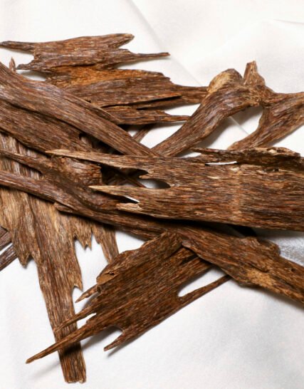 Agarwood Hind Seufi AAA