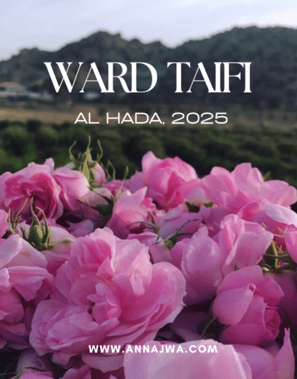 Ward Taifi