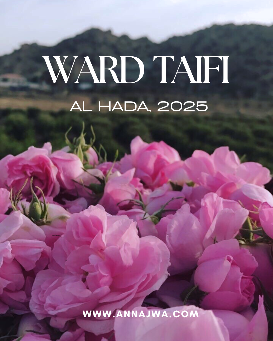 Ward Taifi