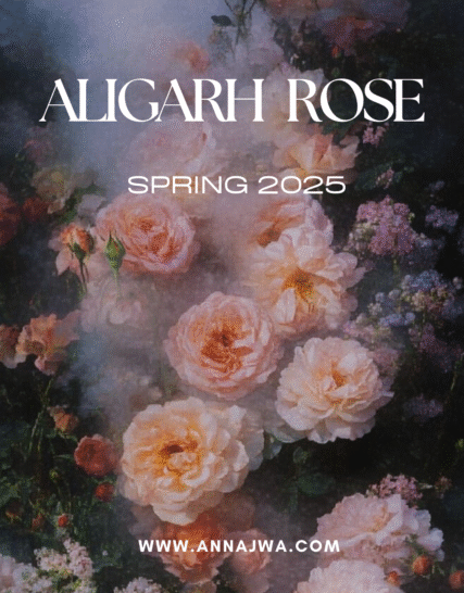 Aligarh Rose